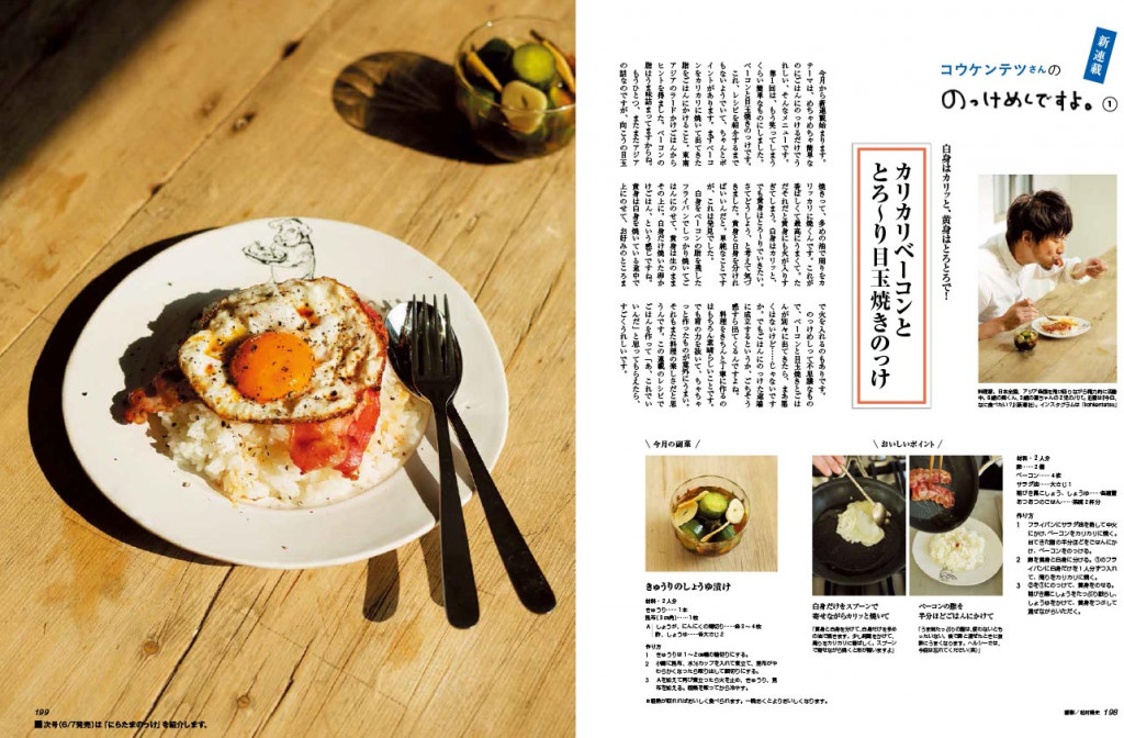 01_LEE_2016_06_nokkemeshi