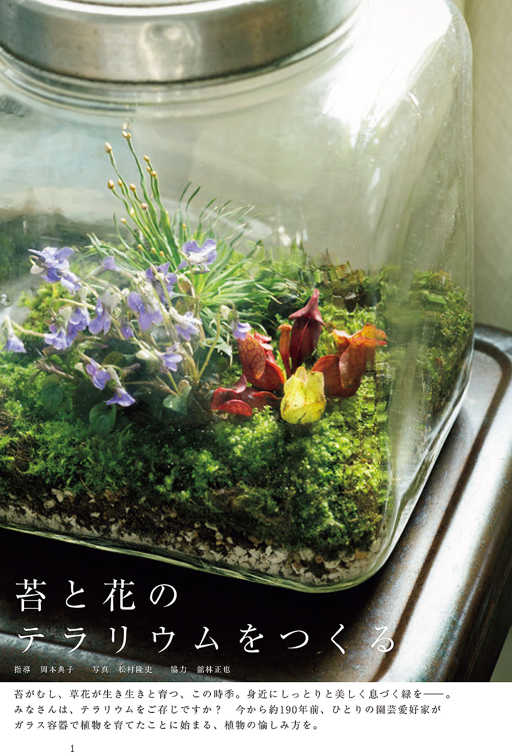 苔と花のテラリウムをつくる | Takafumi Matsumura
