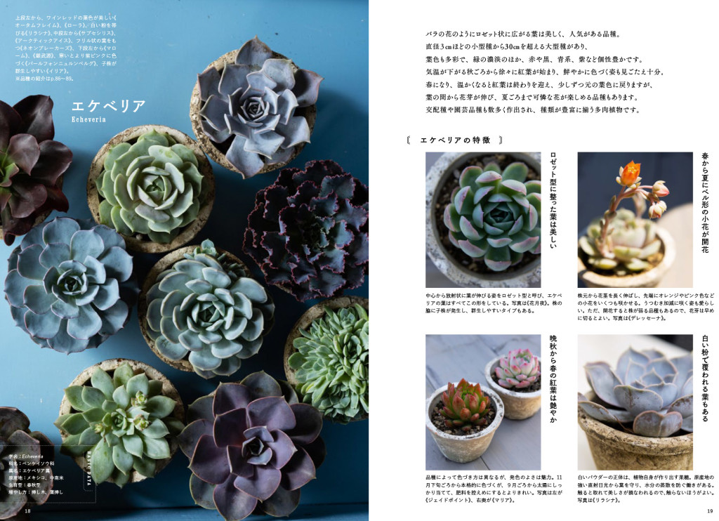 tanikubook-10