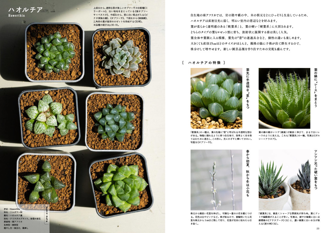 tanikubook-12