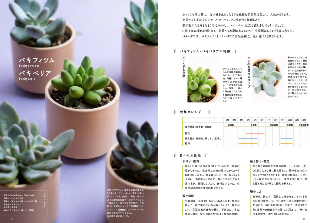 tanikubook-26