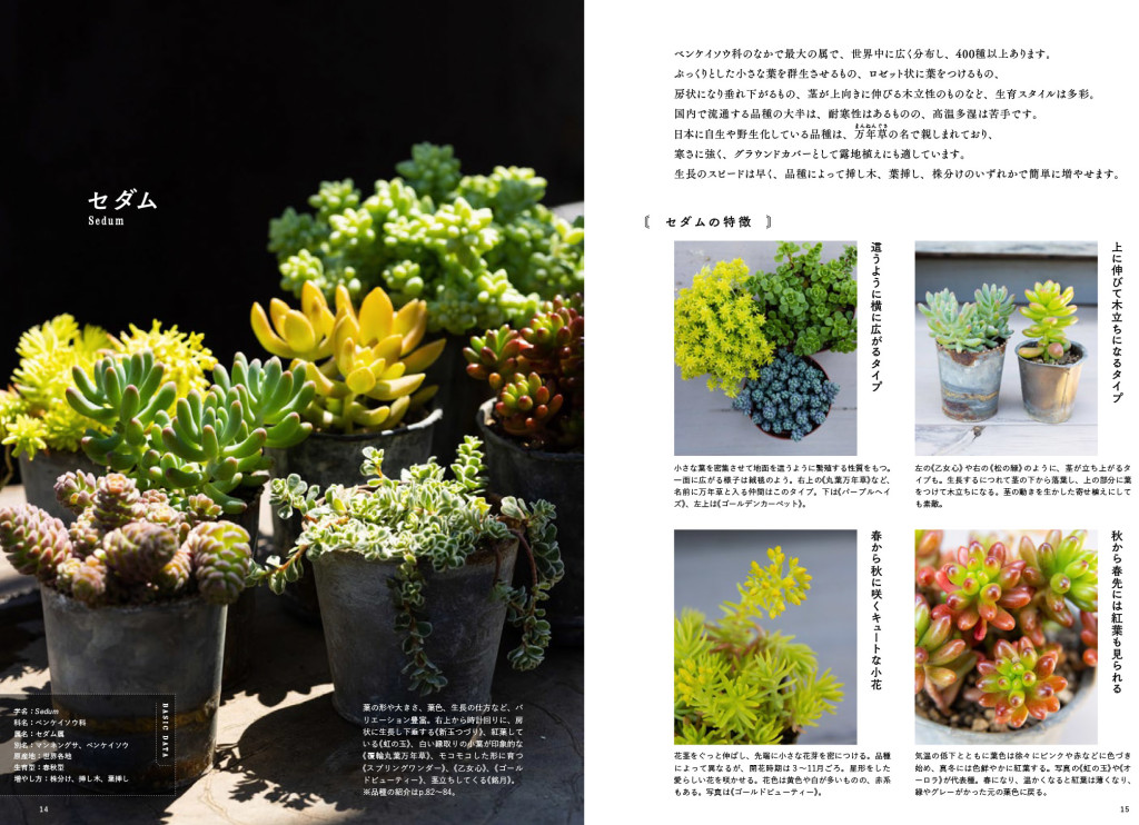 tanikubook-8